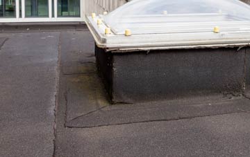 disadvantages of Well Heads flat roofs